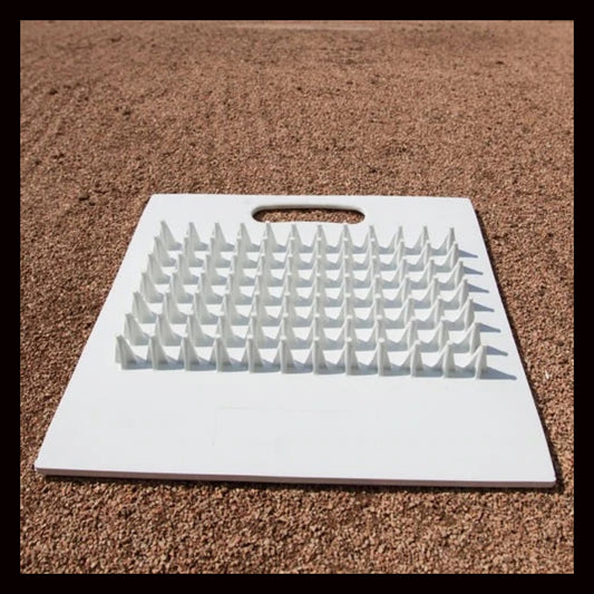 Cleat and Spike Cleaner